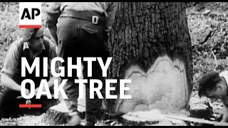 The Mighty Oak Tree - 1948 | The Archivist Presents | #250