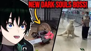 Watch This Vtuber's Epic Reaction To Viral Memes!