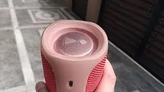 JBL flip 5 TL-FJ with new PR (song wiggle wiggle rebassed)