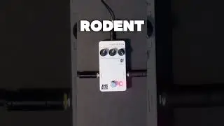 JHS 3 Series Distortion, Your New Rodent