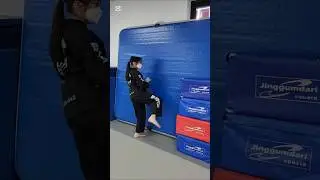 Try to kick three times without dropping the platform! 🦵💥 #Challenge #Kick #HapkidoChallenge