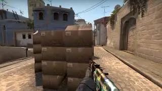 Insane ACE - CSGO Pro Bro