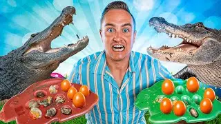 How Many Eggs Can An Alligator Eat? (Surprising Results)