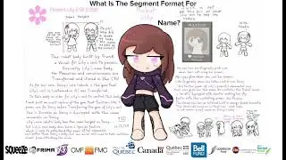 What is the segment format for robot lily (Canadian fanmade tv show) name?