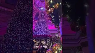 The Dome in Edinburgh at Christmas 🎄 #edinburgh #edinburghlife #thedome #christmasdecorations