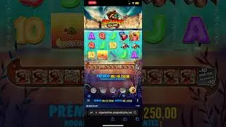 Solta o max wim velhinho😍#slots #bigbassbonanza #forrando