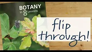 Botany in 8 Lessons | Ellen McHenry Science for Middle School