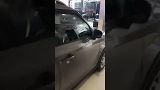Suzuki IZNIS Attitude Status