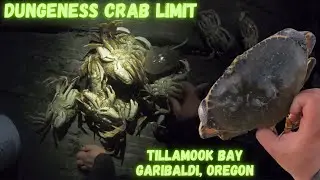 Dungeness Crabbing Tillamook Bay at Night! | Garibaldi, Oregon | Dungeness Crabs Feed at Night!