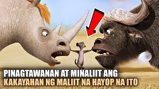 NAGKAGULO ANG MGA HAYOP SA GUBAT MATAPOS MAWALA ANG...| Tagalog movie recap