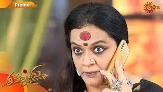 Ammanoru - Promo | 1st February 2020 | Udaya TV Serial | Kannada Serial
