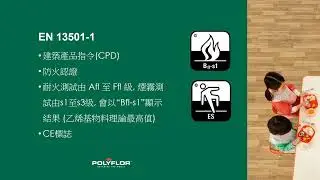 Introduction to Polyflor