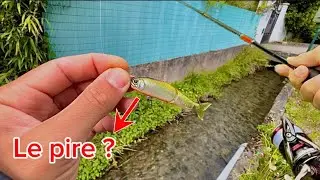 Jointed claw 70 : le PIRE des SWIMBAIT ?! (non en vrai &ccedil;a va)