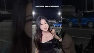 Sound Ninja H2R Vs Missan Or Camaro 🤩 Turbo Sound 🔥 #automobile #ninjah2r #gtr35 #camaro #cars #edit