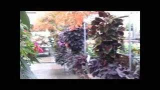 Garden Talk Show - It's Not Too Late to Plant