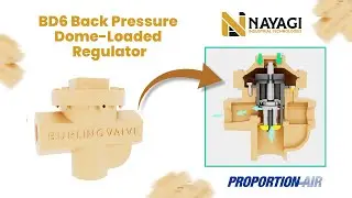 BD6 | Back Pressure Dome-Loaded Regulator