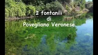 I fontanili di Povegliano VR