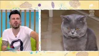 Supriza colegilor de platou pentru Florin Ristei, un iubitor de pisici