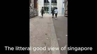 the great view of singapore
