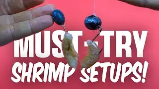2 MUST TRY Shrimp Rigs: Knocker vs Newcomer