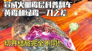 三十斤宣威火腿黴層科普翻車現場！黃黴和綠黴一刀之差，結局為何完全不同！【彪哥火腿】