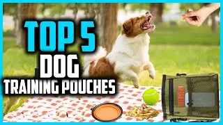 ✅Top 5 Best Dog Training Pouches in 2024