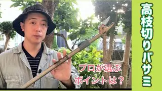 プロはこのポイントを重要視する！高枝切りばさみを選ぶときの注意点（字幕対応）