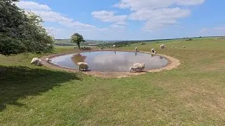 Long run, easy effort, over the South Downs