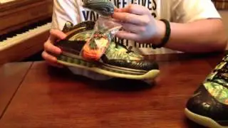 Lebron x celebration/champion pack