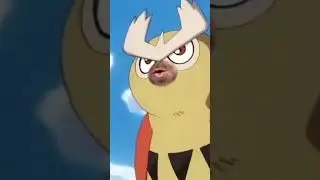 Noctowl is Fed Up!