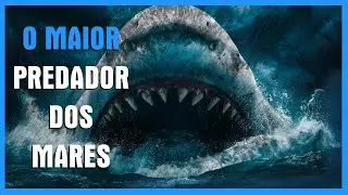 TUBAR&Atilde;O BRANCO: O MAIOR PREDADOR DO MAR