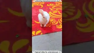 March 8, 2022 || celebrate international women's day 👩&zwj;💼|| Happy woman day || Whatsapp status ||