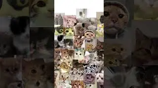 &mdash;Я так долго делала это видео) #рекпж#новенькая#люблювас#всемпривет#вреки#яяя