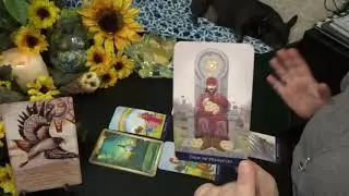 TAURUS JUNE 29th-5th JULY 2020 