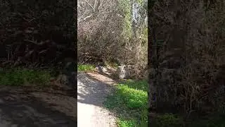 Avakas Gorge Nature Trail Cyprus Greece.