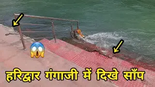 हरिद्वार गंगाजी में दिखे साँप 😱 || Haridwar Ganga News || Laxmi Sati ||