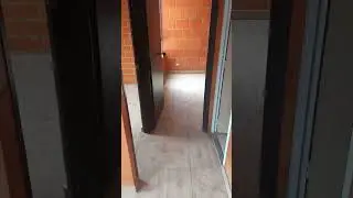 VID 20250308 111837