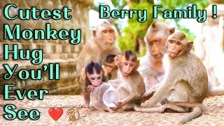Mama Monkey Berry&rsquo;s Family Fun Day  Baby Berrica & Belly Playfully Hugging Under Mama&rsquo;s Care