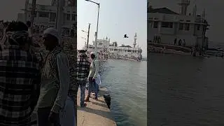 Haji Ali dargah Mumbai #mumbai #hajibaba #shorts