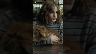 Harry Potter Fan Theory: Crookshanks Was Originally The Potters? #shorts #harrypotter