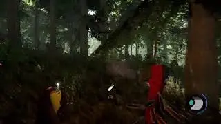 The Forest w/ shadowboy Part 2 Exploring