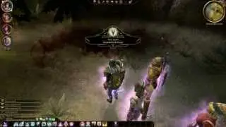 DA:O Nightmare (HD) - Wounded in the Forest