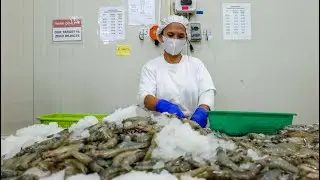 First national dialogue on sustainable aquaculture supply chain in the Philippines