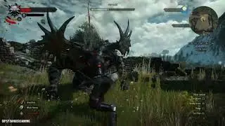 Witcher contract (Morvudd) ] Witcher 3 wild hunt gameplay ⚔️