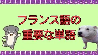 フランスで役立つ必須語彙