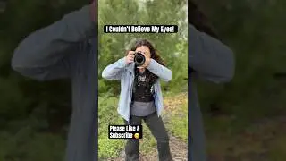 You Won&rsquo;t Believe What I Saw on My Daily Nature Walk 🐦📸