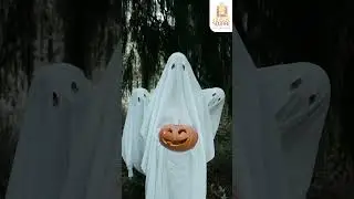 Halloween Spooks & Fun Await at Urban Square Mall, Udaipur! #urbansquaremall #bestmallinudaipur