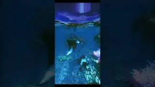 Manta Ray Gliding in Blue Water