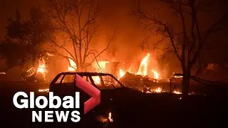 Europe wildfires: Worst heat wave in decades fuels numerous blazes