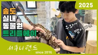 송도 트리플 스트리트 있는 실내동물원 테이블에이 서주니 방문